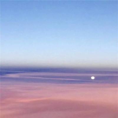 天天枪战pp版本下载